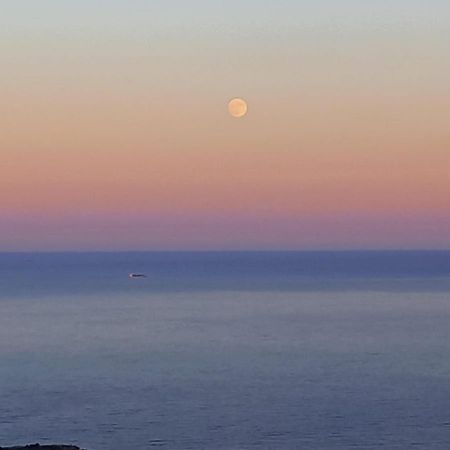 Alma De Mar Daire Benidorm Dış mekan fotoğraf