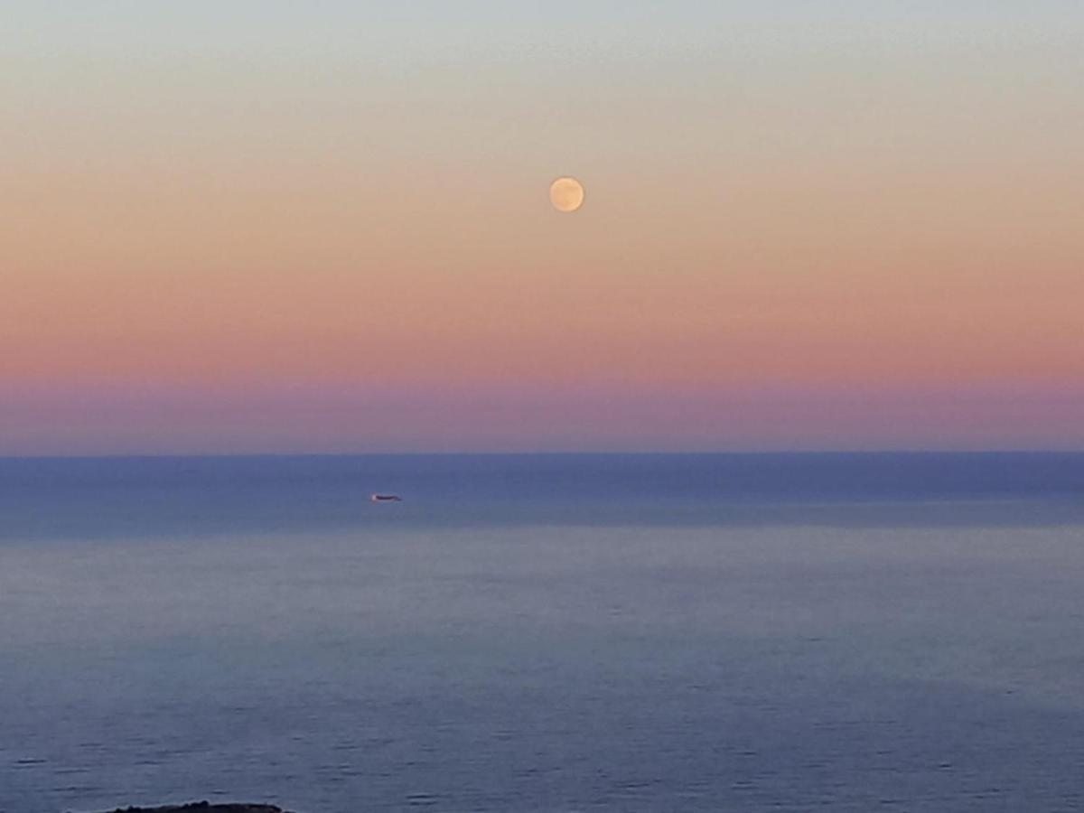 Alma De Mar Daire Benidorm Dış mekan fotoğraf